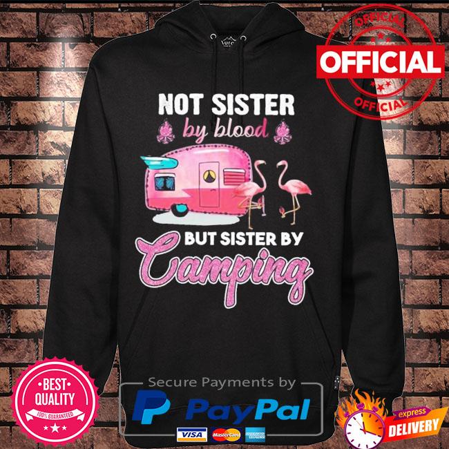 Flamingo not blood sisters but camping sisters a flamingo standing in front of a camping truck wearing a camping s Hoodie black