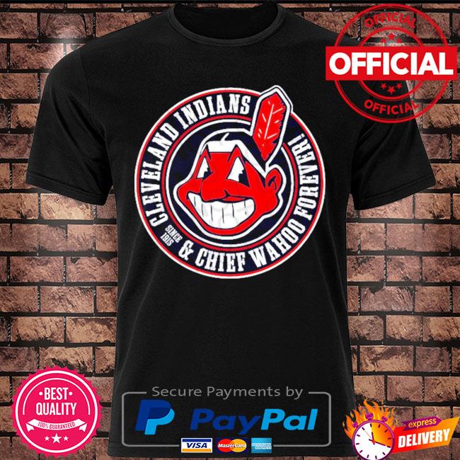 Cleveland Indians here's to all of you they find me offensive chief wahoo  shirt, hoodie, sweater, long sleeve and tank top